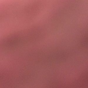 Meet your Posher, Lizbeth